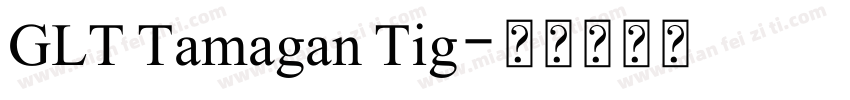 GLT Tamagan Tig字体转换